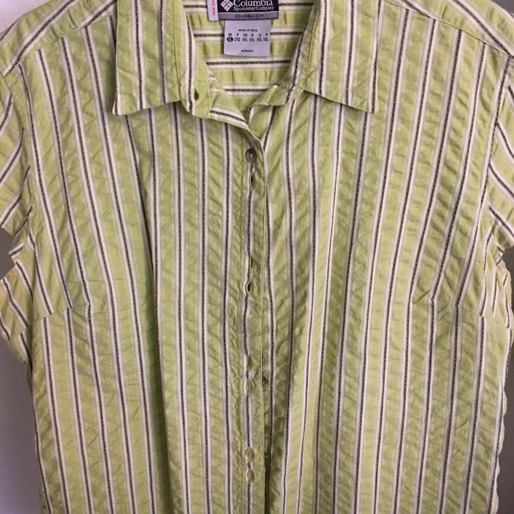 button down top